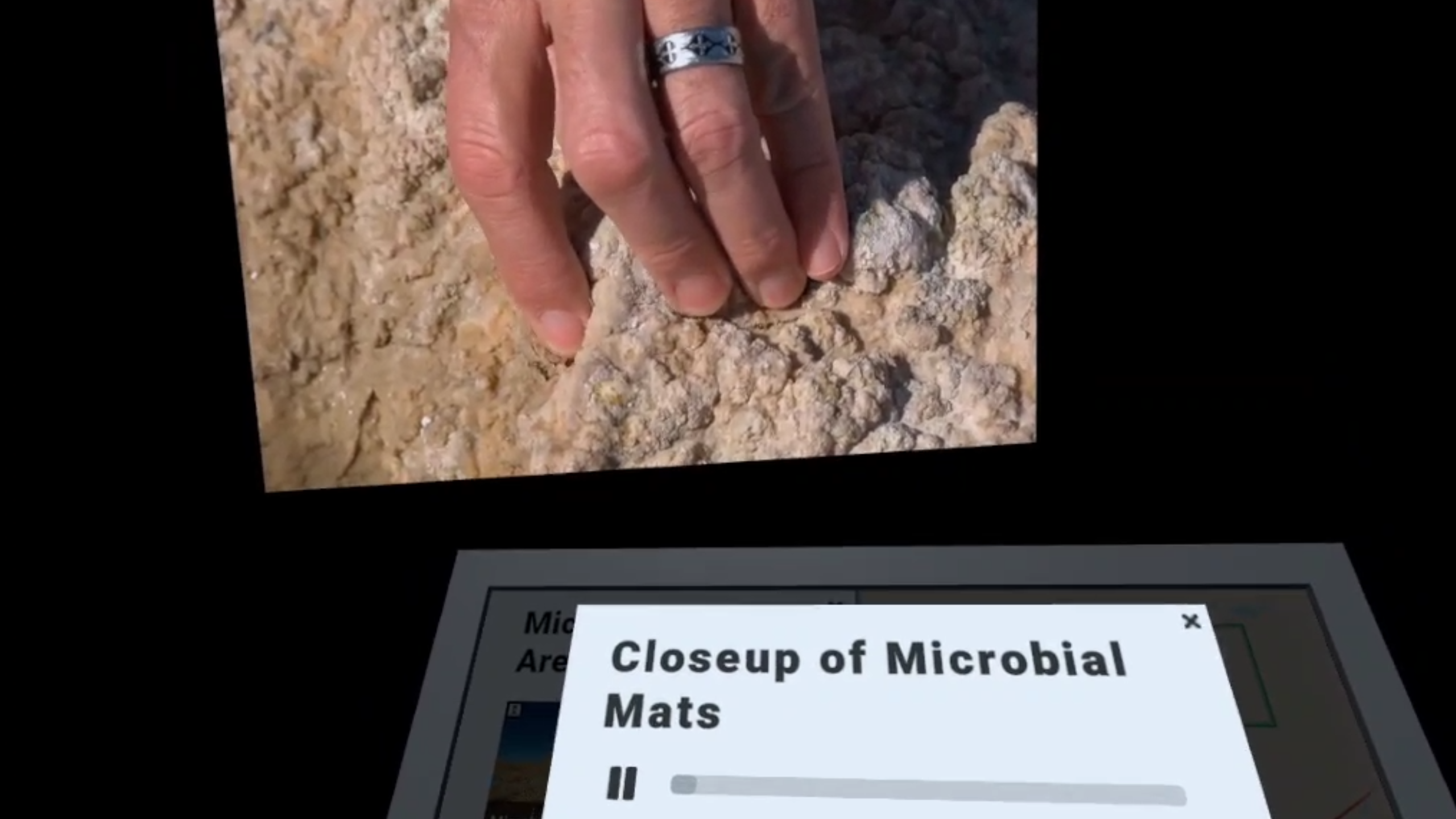 Microbial matts image